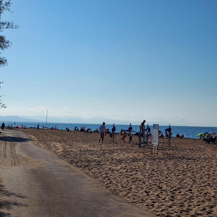 La Palmera